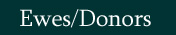 Ewes/Donors