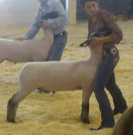 Morris Family Winner